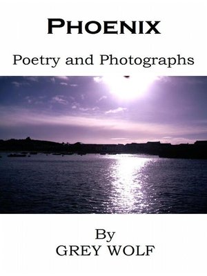 cover image of Phoenix